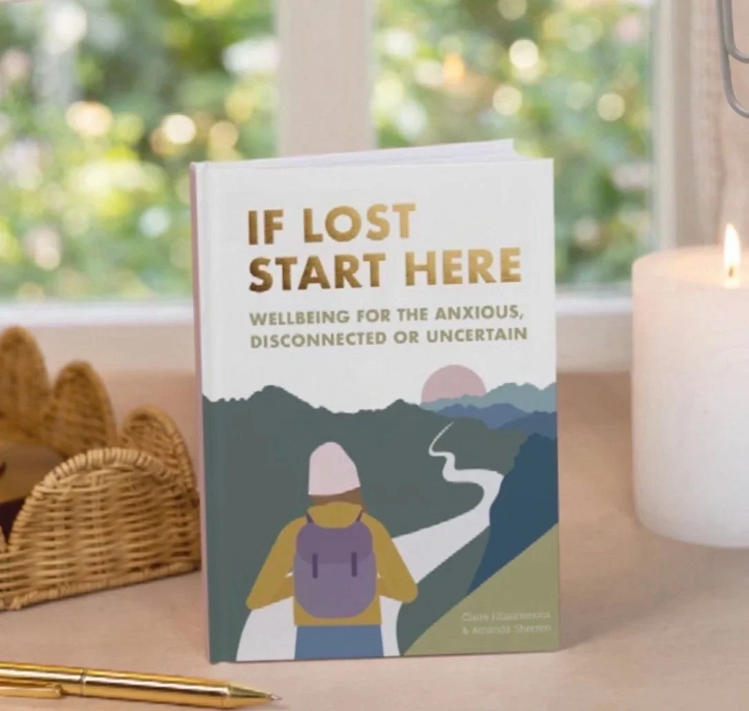 Book titled 'If Lost Start Here: Wellbeing for the Anxious, Disconnected or Uncertain' with a cover illustration of a person with a backpack walking on a winding trail through mountains at sunset.