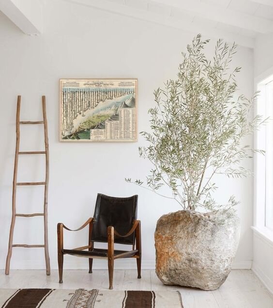 Staging Tip : Adding Greenery 