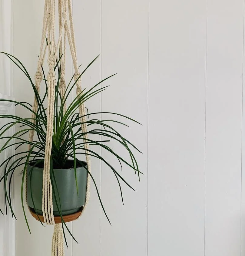 Macrame Plant Hanger 