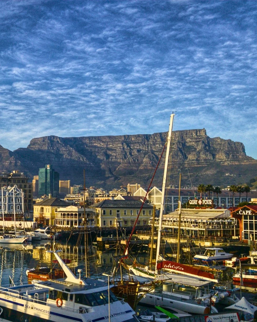 Dreaming of getting close to nature, expanding your horizons, and experiencing thrilling safaris, world-class wine country, and pristine coastlines? Africa is calling.

Day 1-3: Cape Town 🏔️ Begin your journey immersed in Cape Town&rsquo;s wonders&m