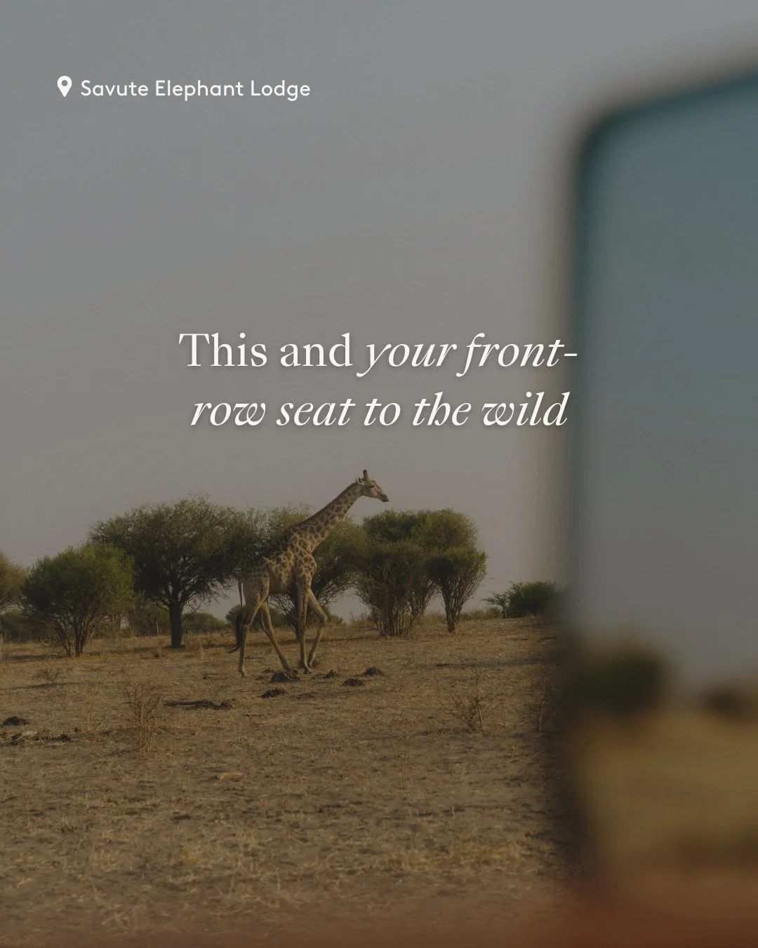 Craving all of this and more? Let’s plan your next tailored getaway and create memories to last a lifetime. Connect with me today.🍸🌅⛵
What’s your dream destination for 2026?
#LuxuryTravelAdvisor #ThisandThat #LuxuryTravel #LuxuryAdvis