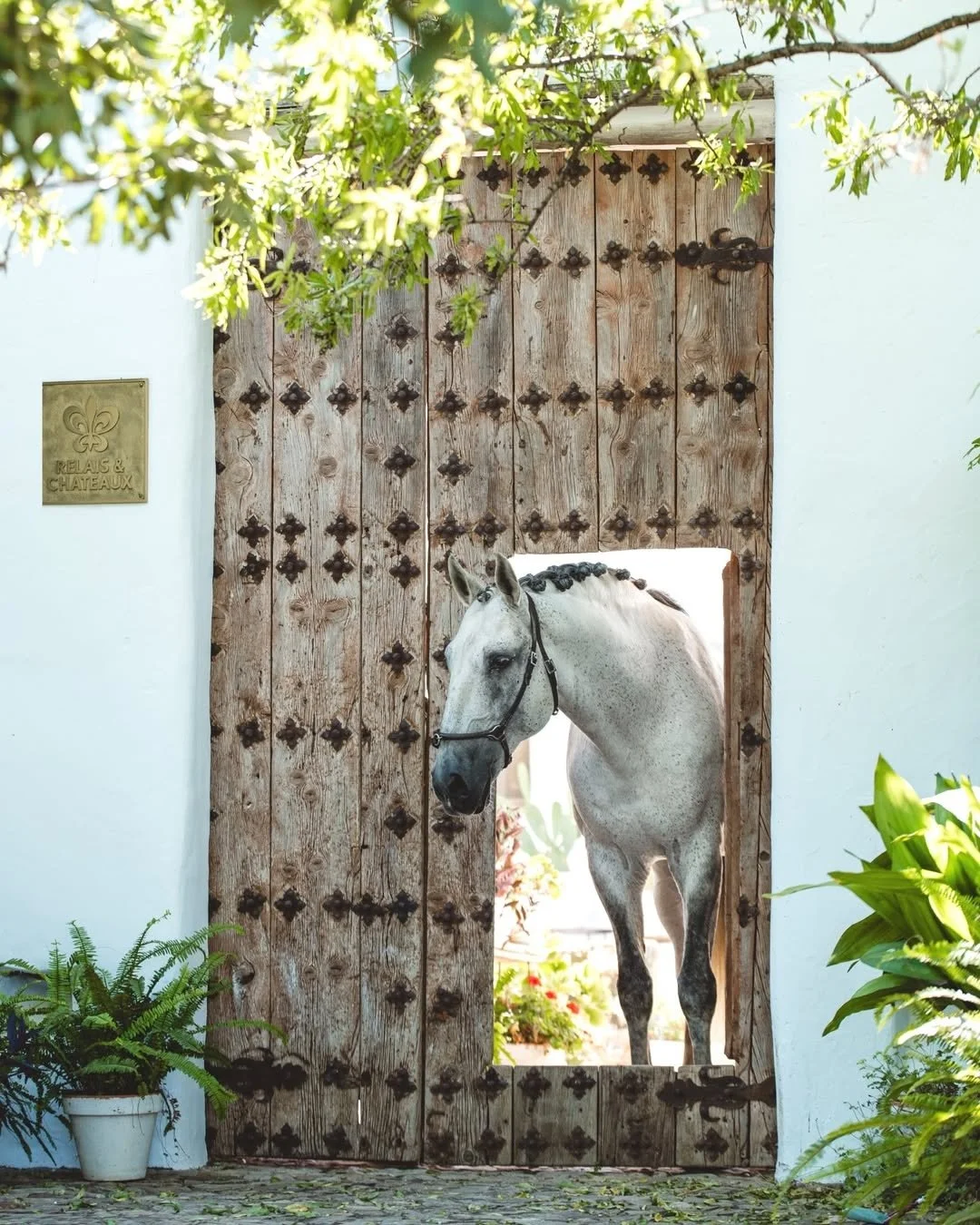 After a week of buzzing tapas bars or tiled city strolls, there&rsquo;s nothing better than slowing down somewhere peaceful &mdash; and Spain and Portugal do countryside calm beautifully. 🌿✨

A few favorite finds from DUCO Spain &amp; Portugal that 