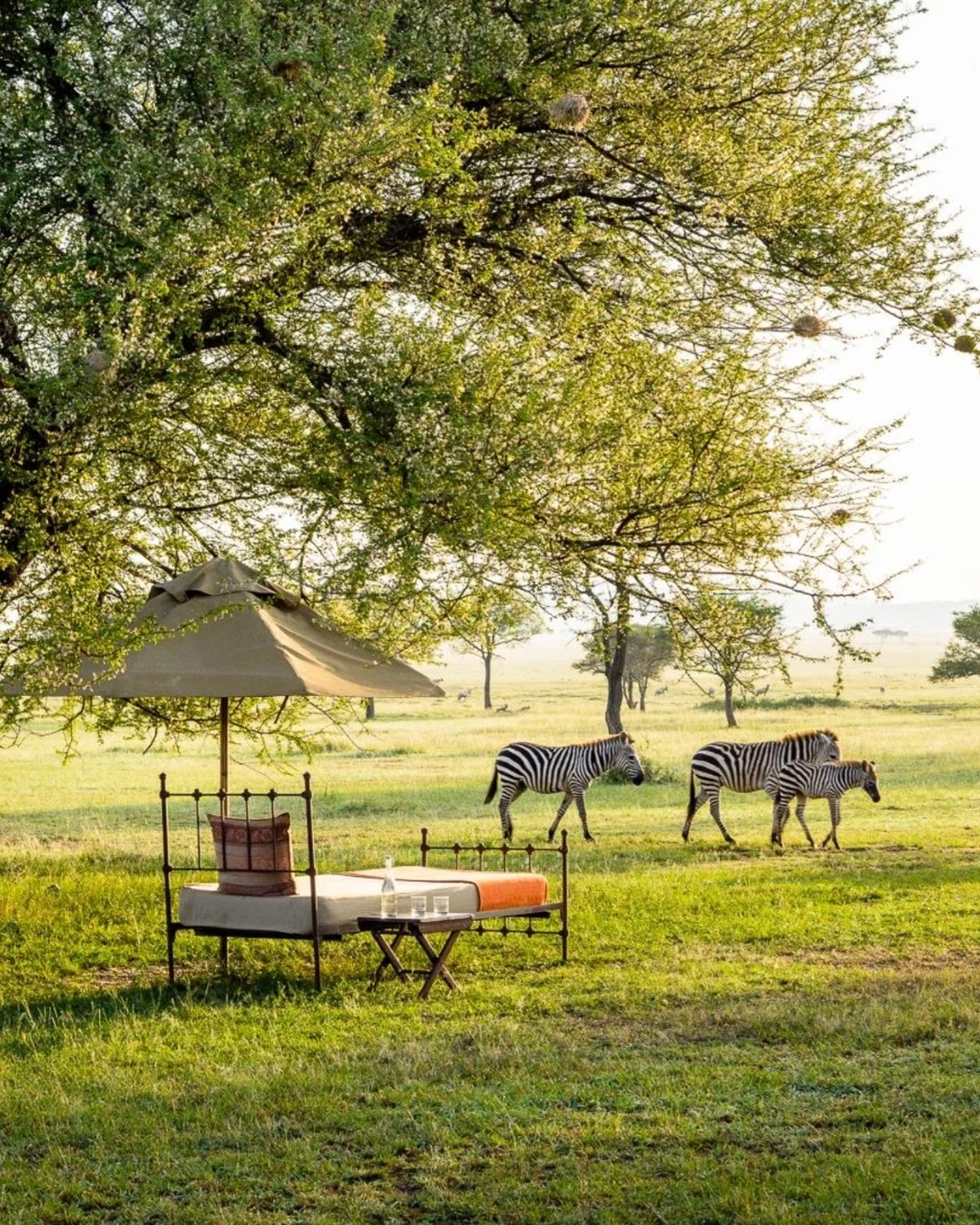 There are safaris&hellip; and then there&rsquo;s Singita. These are the lodges I return to again and again when clients want the most private, elevated, and conservation-forward safari experience in Africa. From vast private reserves to design-forwar