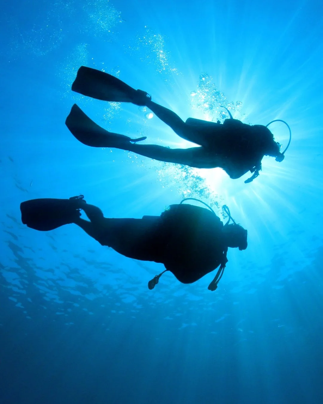 It's time for your next adventure, and this time, it's underwater. 🌊

Scuba diving and snorkeling unlock a hidden world of vibrant coral reefs, remarkable marine life, and breathtaking underwater landscapes. From the remote waters of Indonesia's Ban