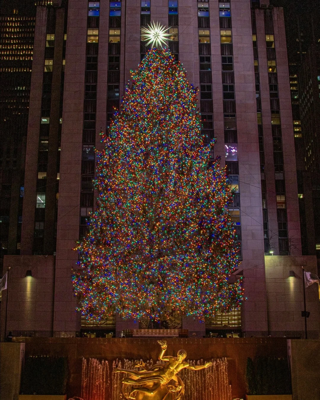 The holiday season transforms New York and Eastern Canada into something magical, and experiencing it with private, exclusive access makes the journey even more special. ✨

In New York City, imagine skipping the crowds for VIP treatment at the Rockef
