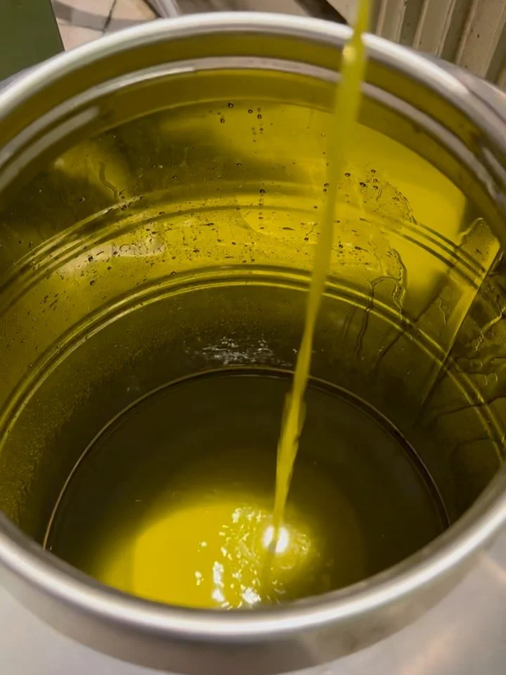 Look what&rsquo;s about to happen! Harvest 2026 is a GO. We will be picking and pressing our olives in the upcoming weeks. And that means Olio Nuovo is available to pre-order. Delivery to your door in time for your holiday meals. We&rsquo;re so happy