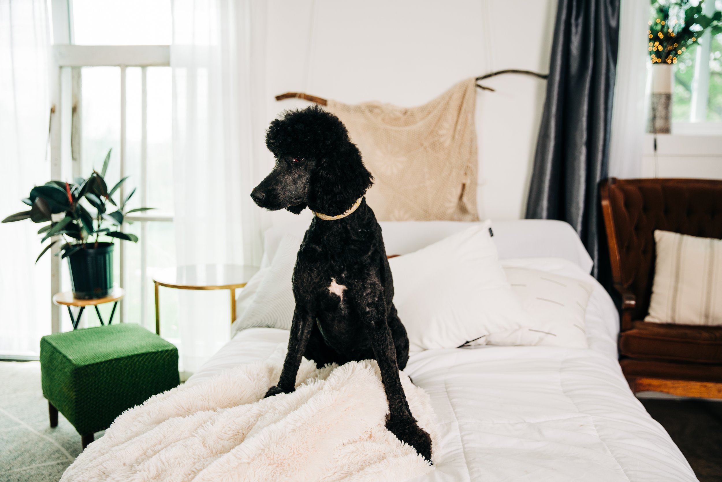 CBC Photo _ IA Doodle Co_DSC03412.jpg