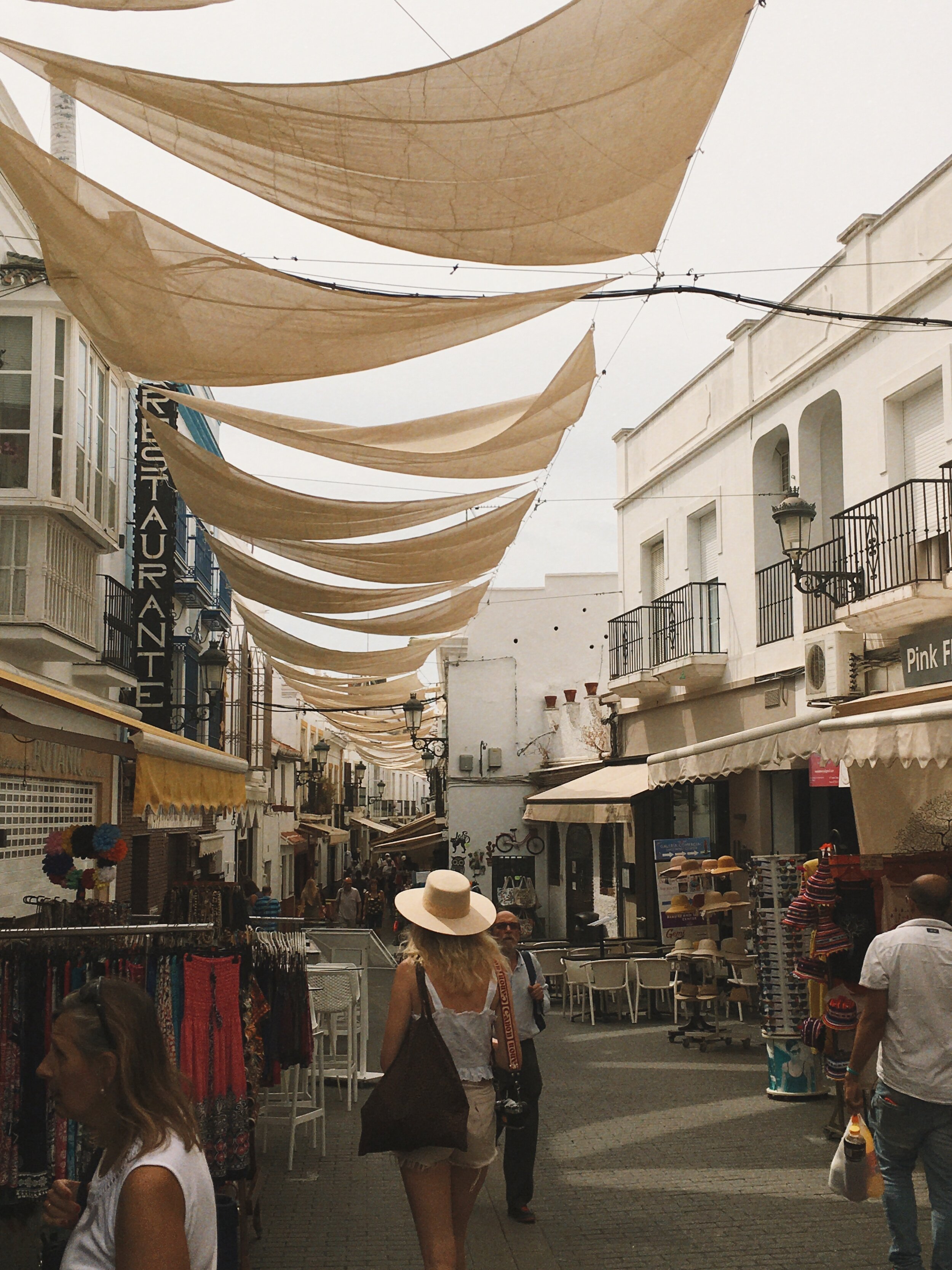 Exploring Torrox