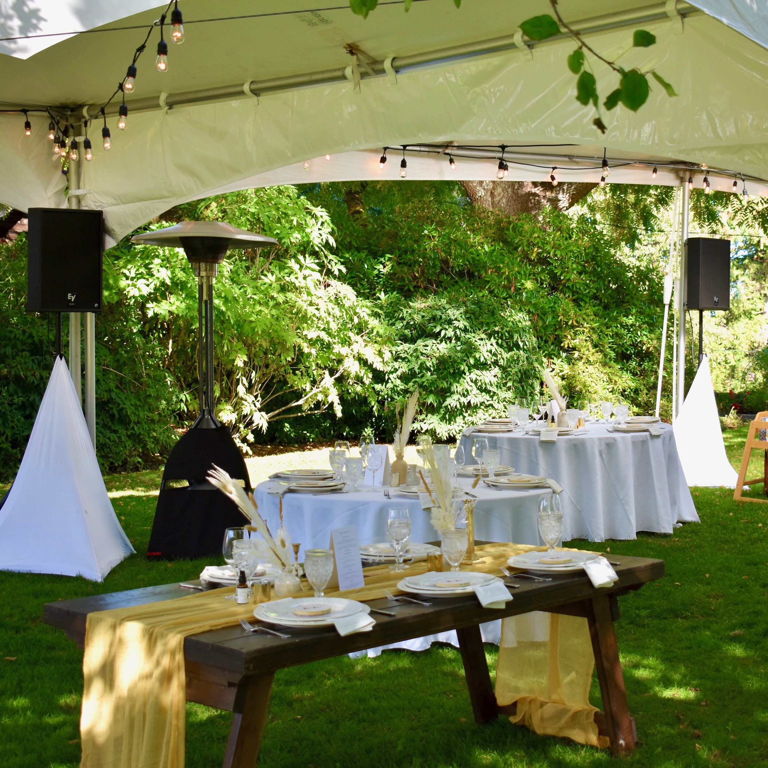 Wedding Reception at Starling Lane Vineyard.  Electro-Voice SX250 Speakers with White tripod scrims, 2021