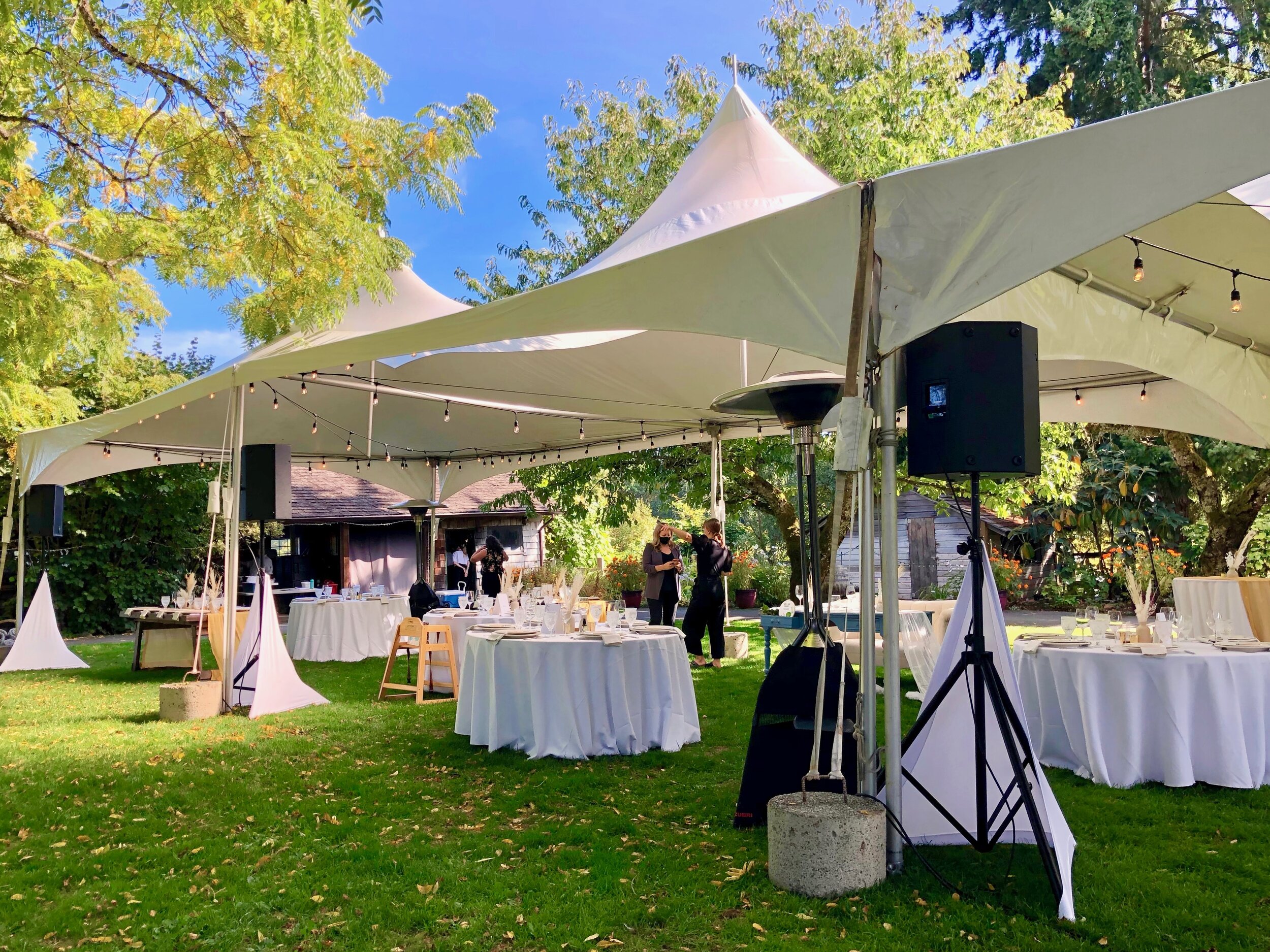Wedding Reception at Starling Lane Vineyard.  Electro-Voice SX250 Speakers with white tripod scrims, 2021