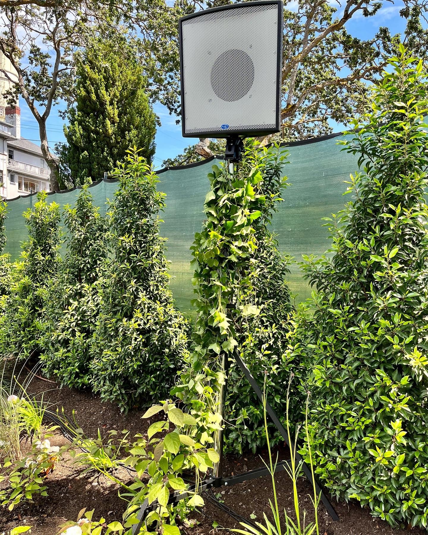 Camouflaged speaker stands for a private wedding in Victoria, 2022