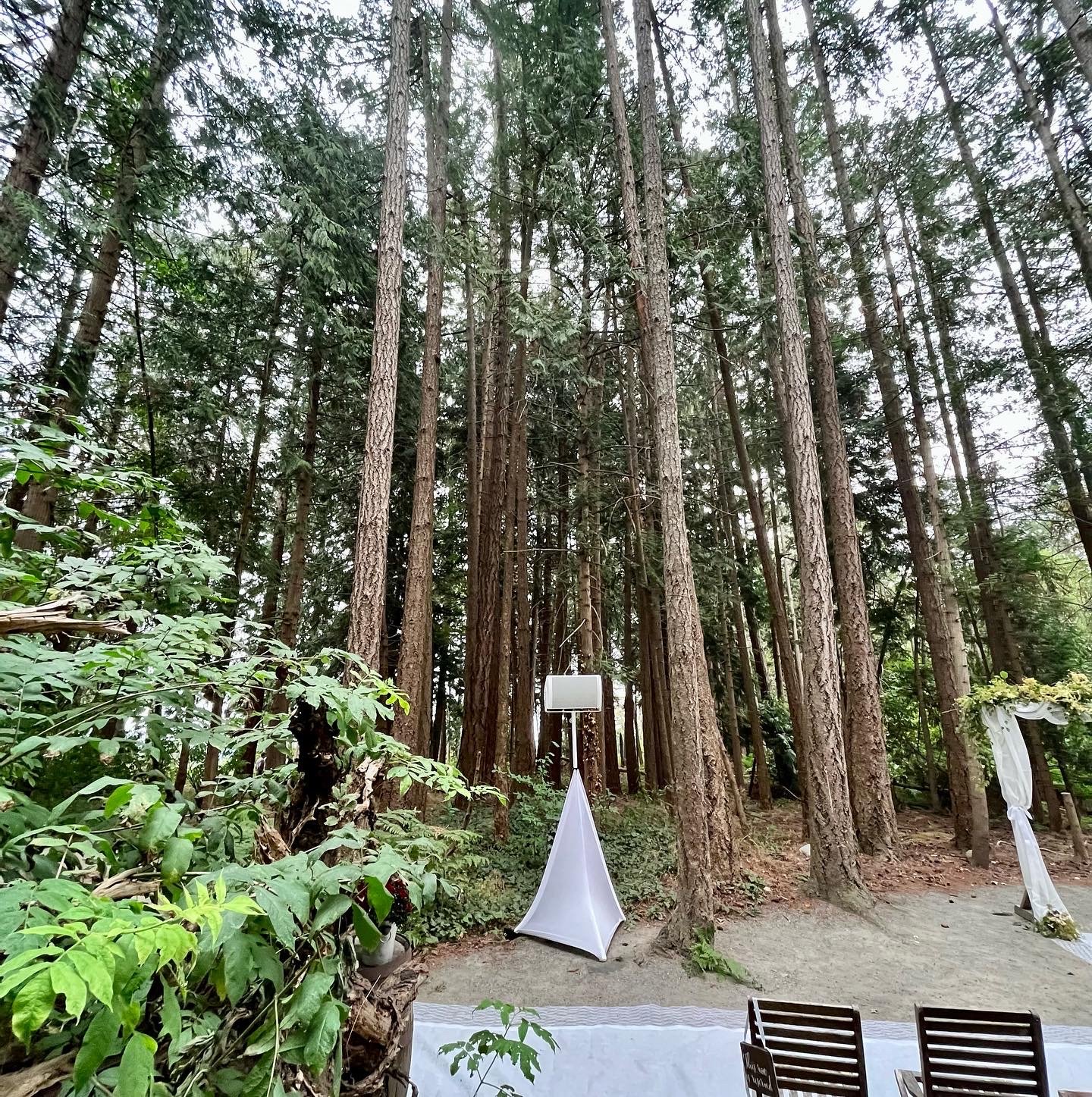 Private Wedding Ceremony in the woods, Sea Cider Farm & Cider House, Saanichton 2022