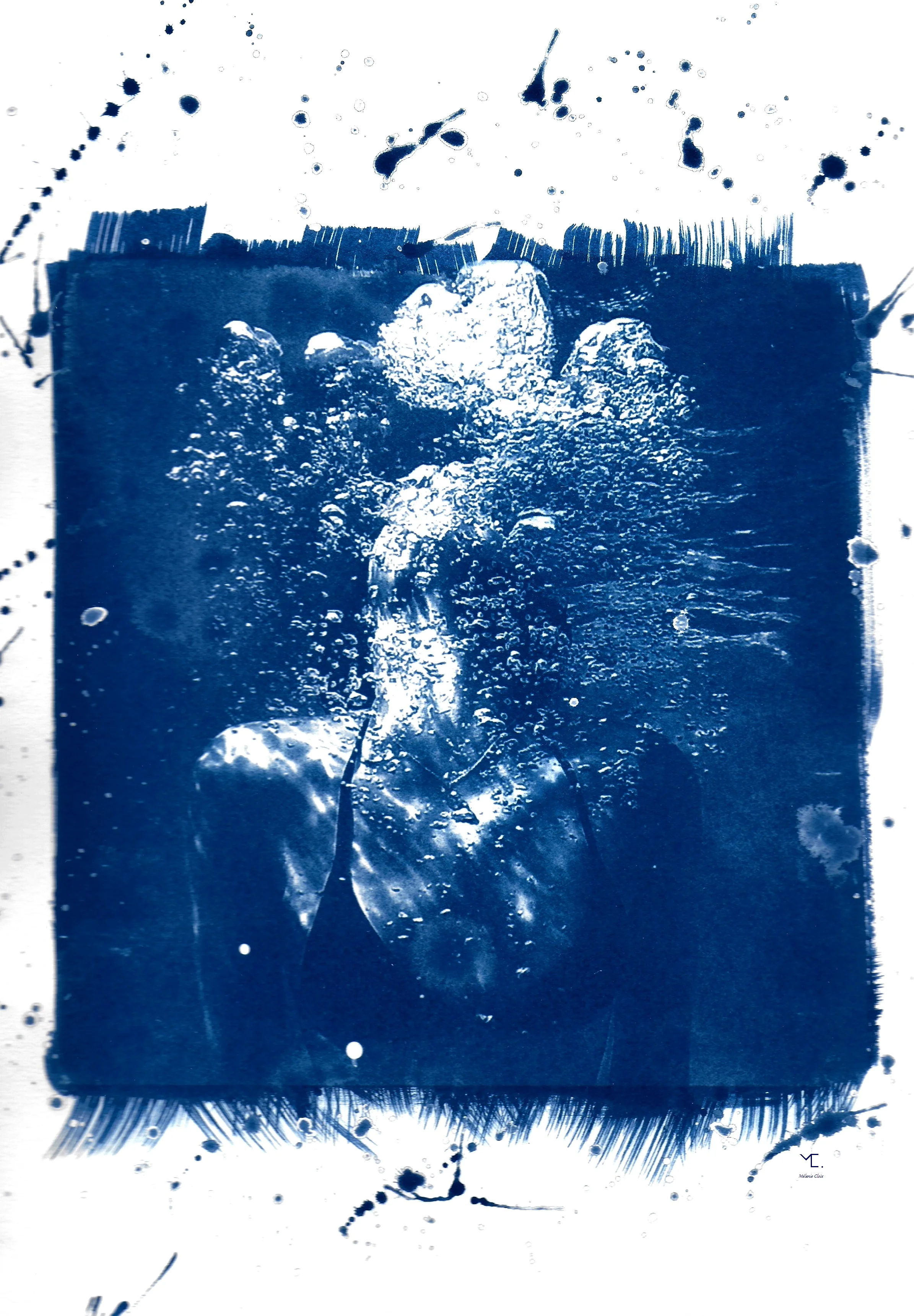 Workshop Cyanotype avec Noël Podevigne