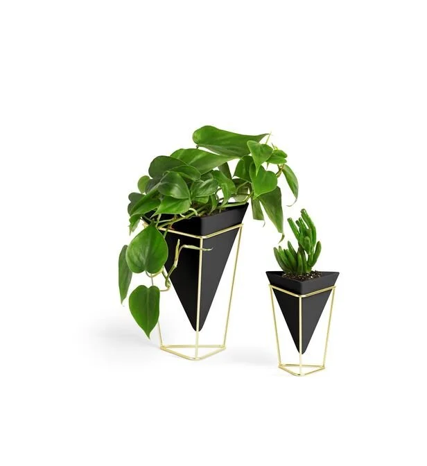 pot triangle 2.jpg