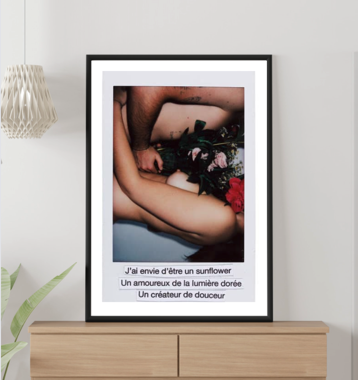 Rose Néon - Sunflower