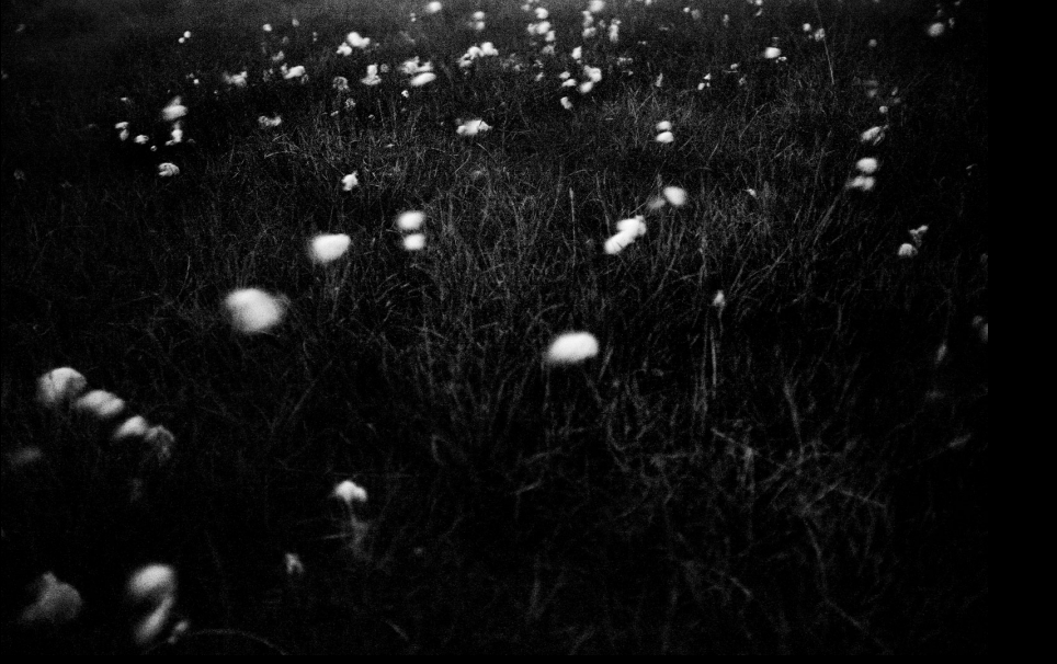 Capture d’écran 2022-02-16 à 12.45.38.png