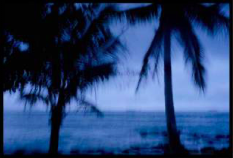 Capture d’écran 2022-02-15 à 22.23.37.png