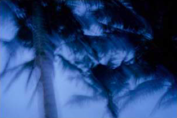 Capture d’écran 2022-02-18 à 12.51.35.png