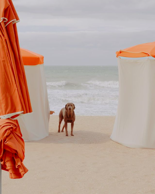 Capture d’écran 2022-02-25 à 17.35.19.png