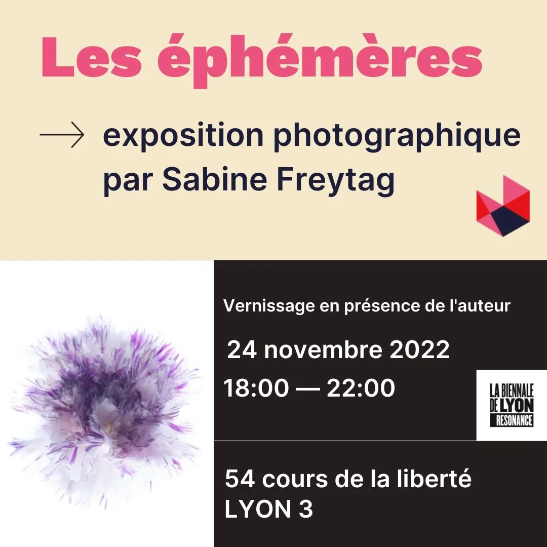 Exposition Sabine Freytag : Les Éphémères
