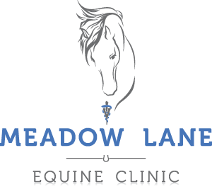 Meadow Lane Equine Clinic