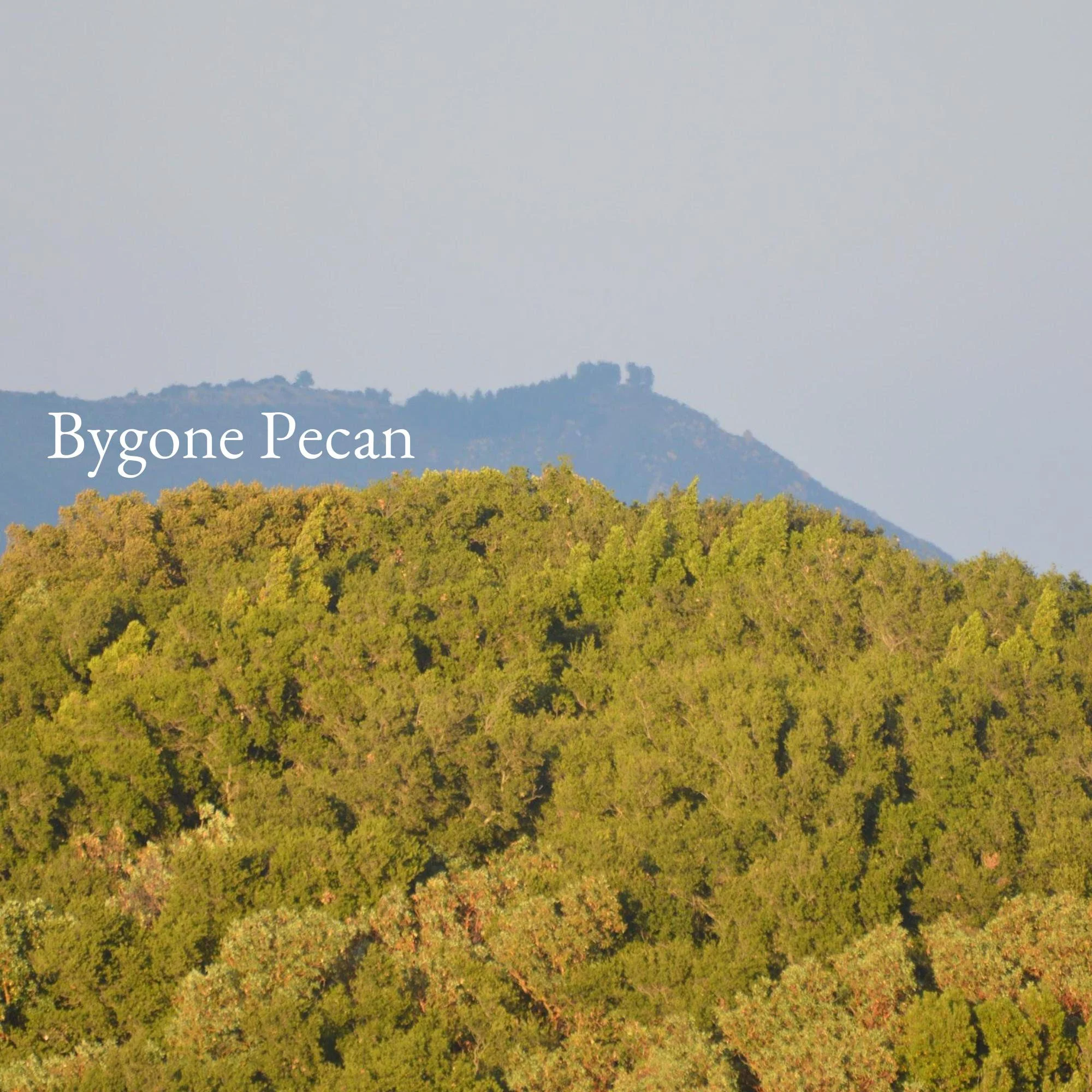 Bygone Pecan.jpg