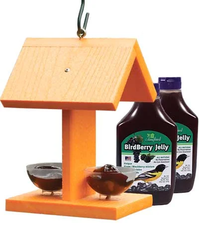 Oriole Feeder (make sure it hold jelly) Orioles are high in the trees. To draw them down where you are able to see them, put grape jelly, nectar, or orange halves out… Also they like the color orange.