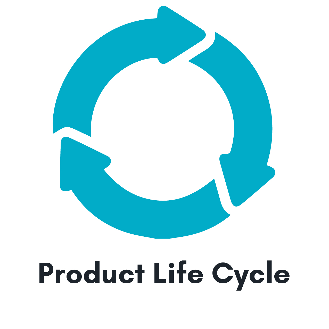 ServicesIcons_ProductLifeCycle.jpg