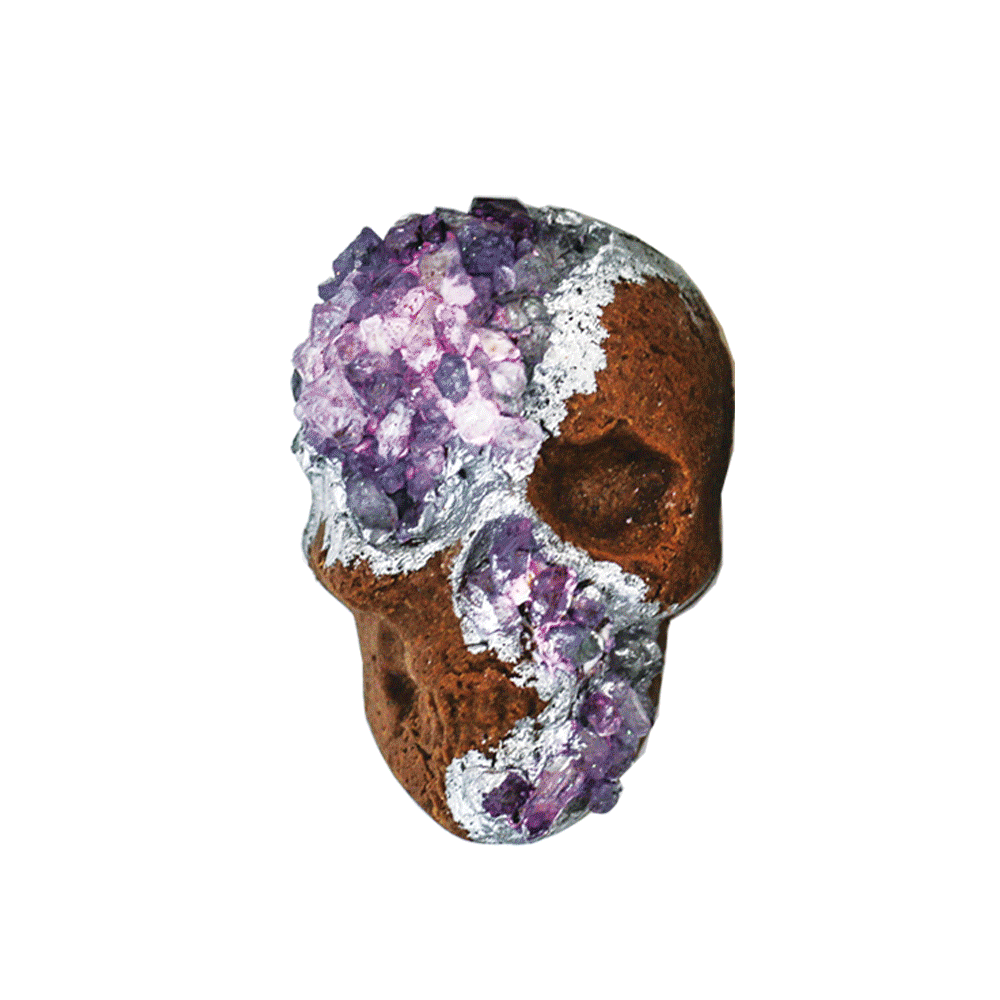 gvcc-skulls.gif