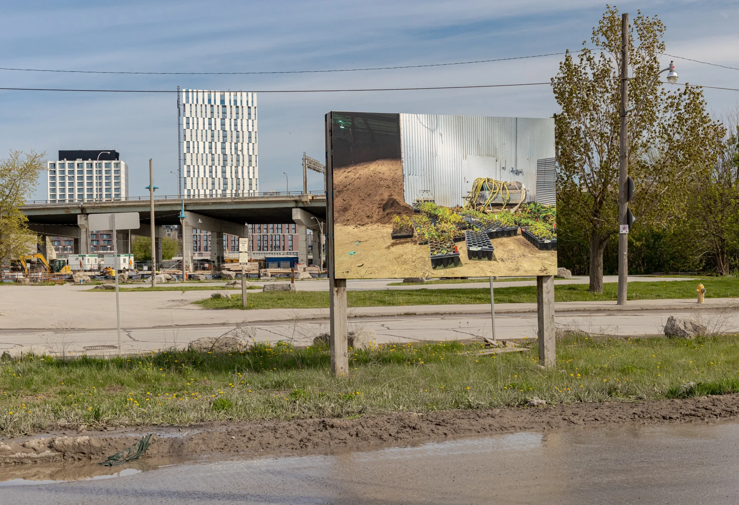 PortLands_2023_RyanWalker-VidIngelevics_InstallView__AF_3076.jpeg