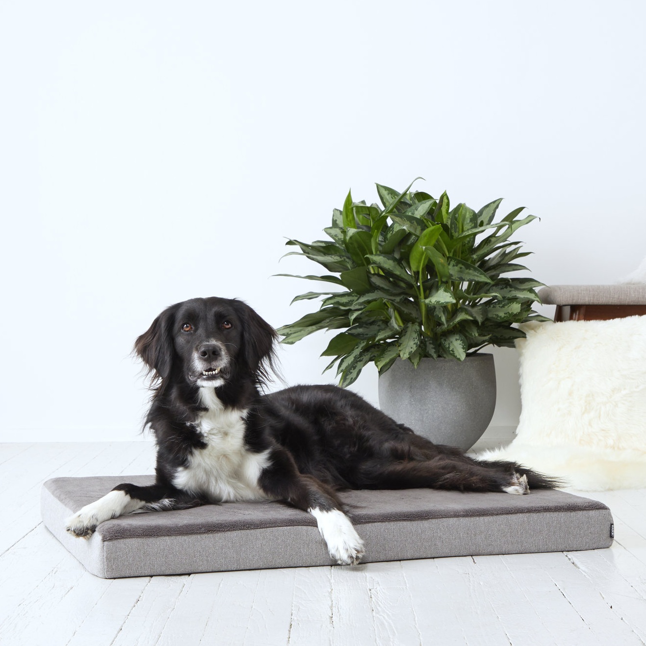 ESSENTIALS_LARGE-BED_GRAY_HANNAH_1042.jpg