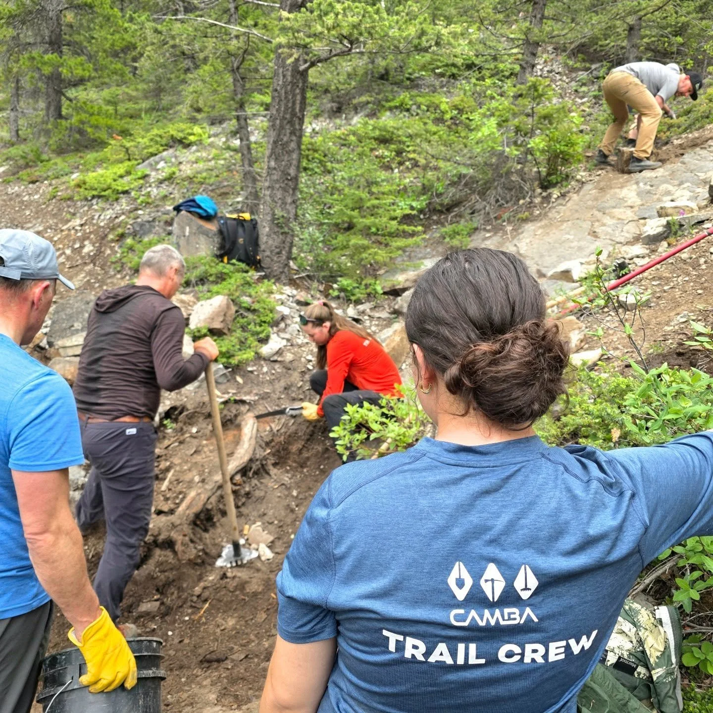 Great trail maintenance day on Exshaw Mountain!  Thanks to the volunteers and @cambaconnect.  Beers provided by @sheepdogbrewing &amp; @canmorebrewing.  What an excellent trail system!  #communitybuilding #mountainbike  #trailrunning #trailblaze Exsh