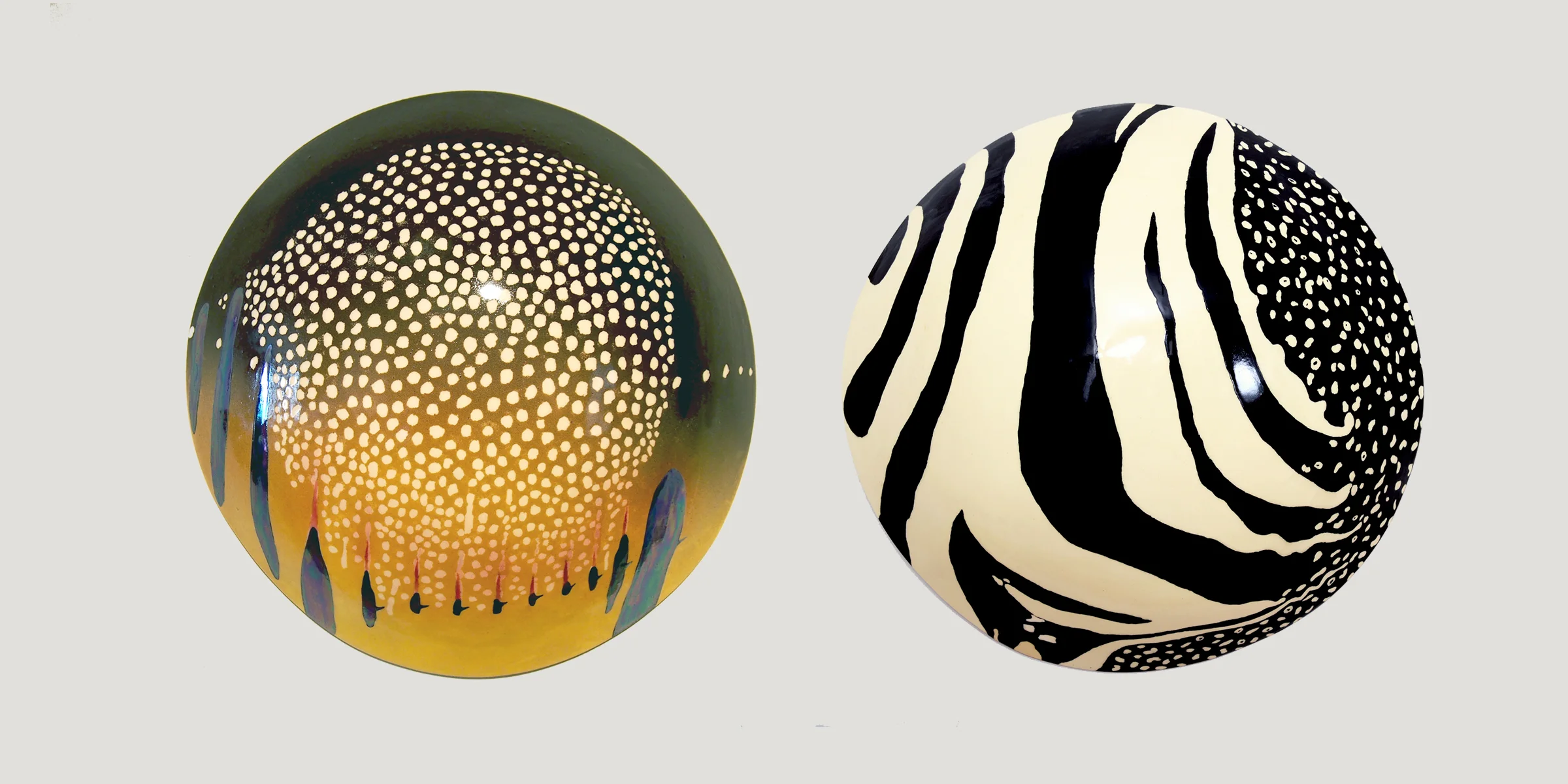 Weedy Sea Dragon and Spotted Drumfish Shields