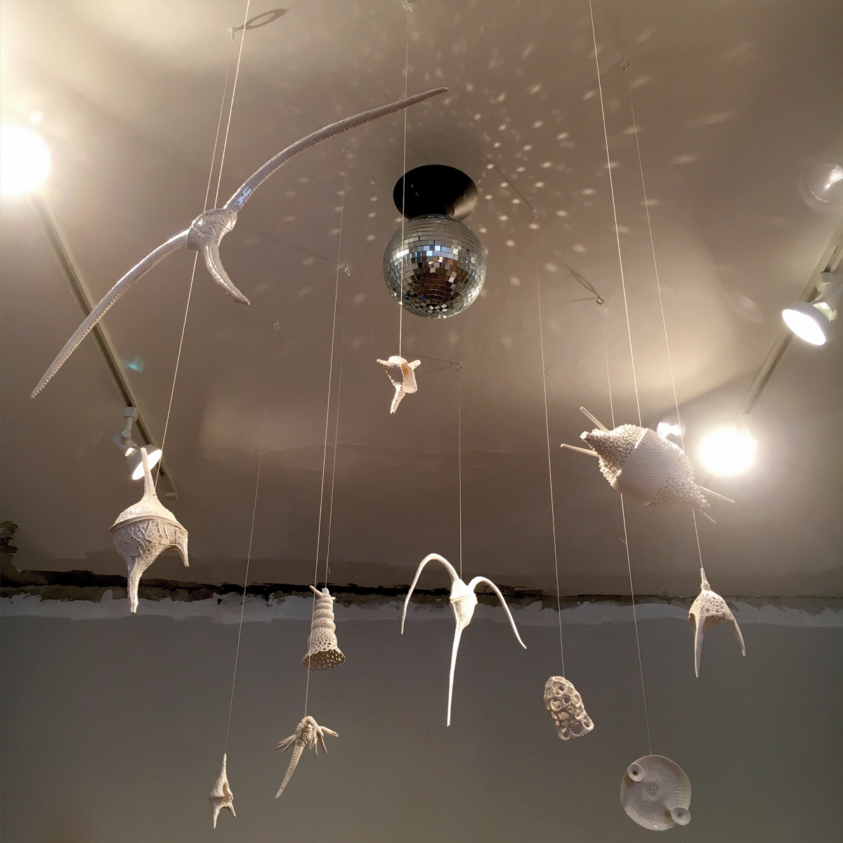 Single-Cell Mingle Disco