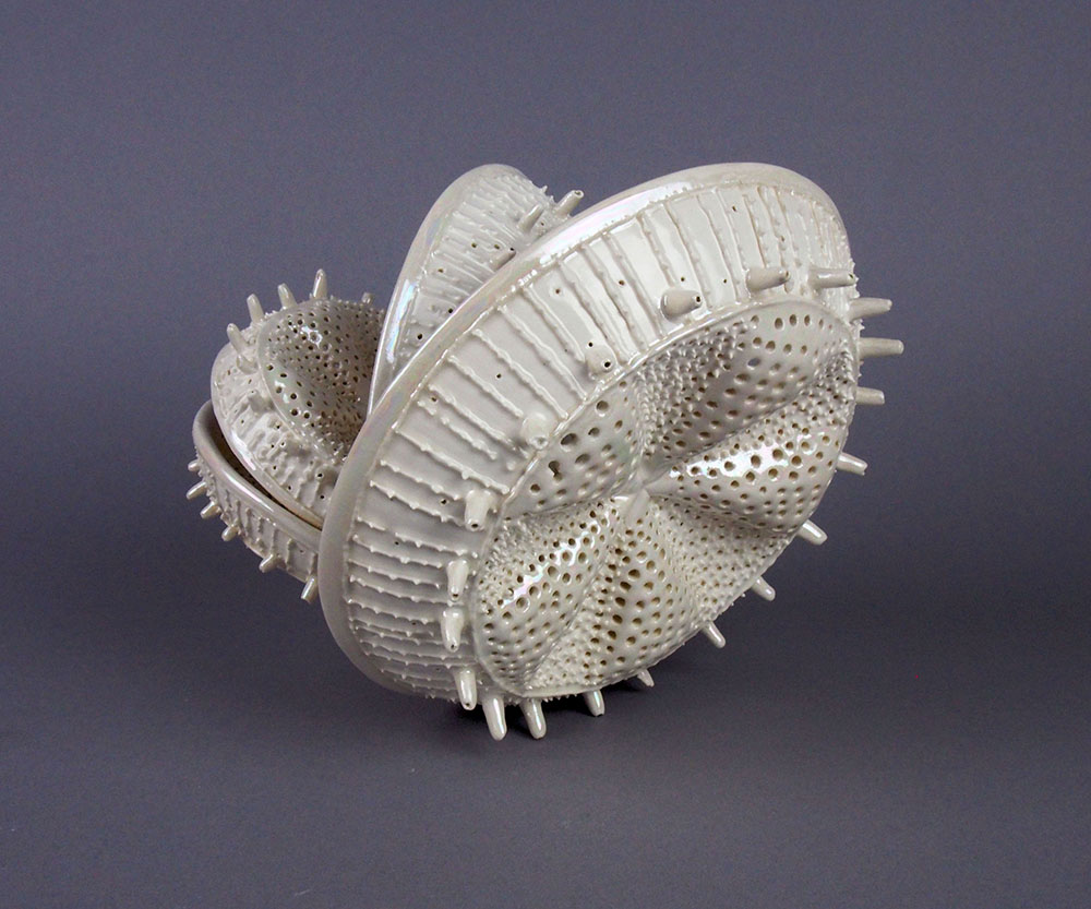 Diatom Dance