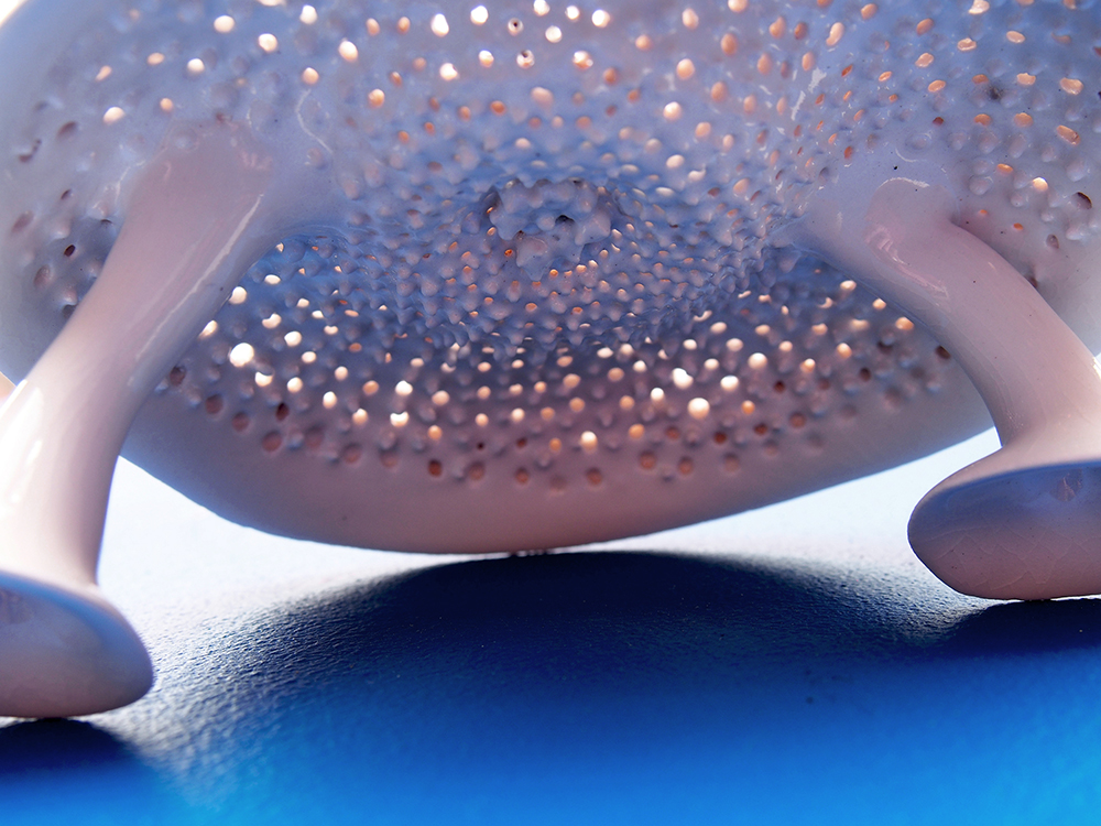 Diatom Kittonia Elaborata, detail