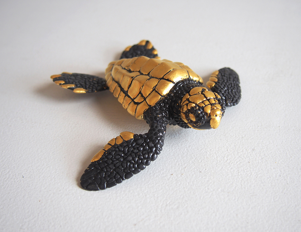 Kemp’s Ridley Sea Turtle Hatchling