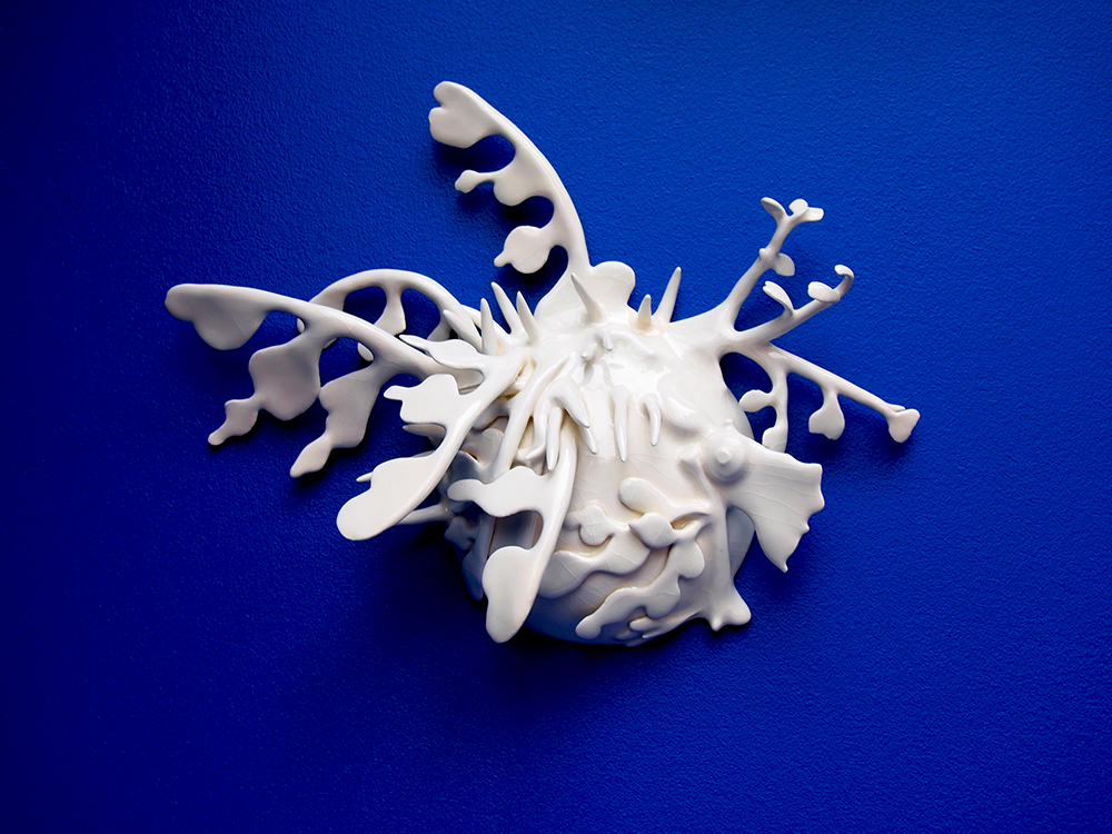 Leafy Sea Dragon Shield