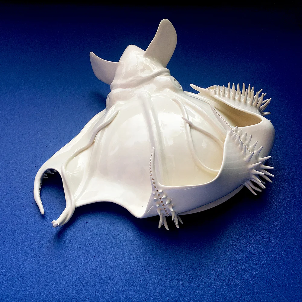 Vampire Squid from Hell Shield