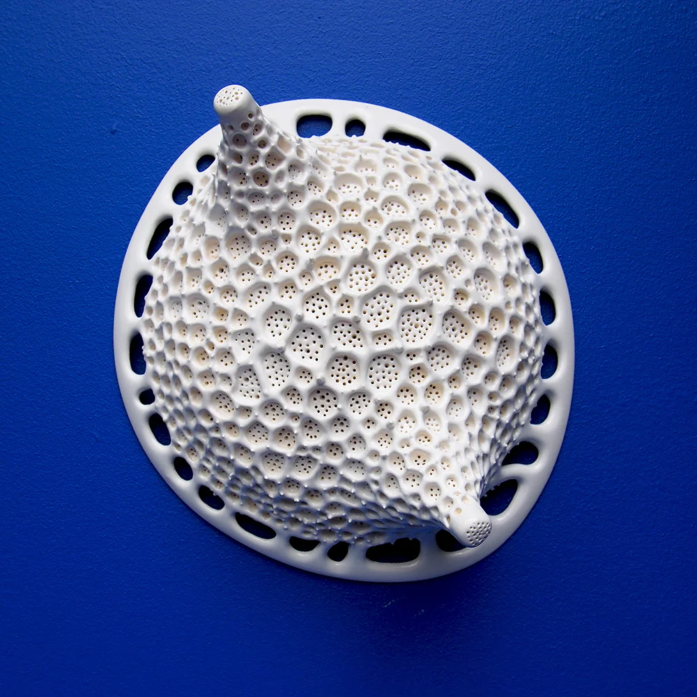 Diatom Odontella Shield