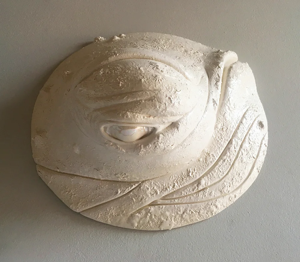 Humpback Whale Shield