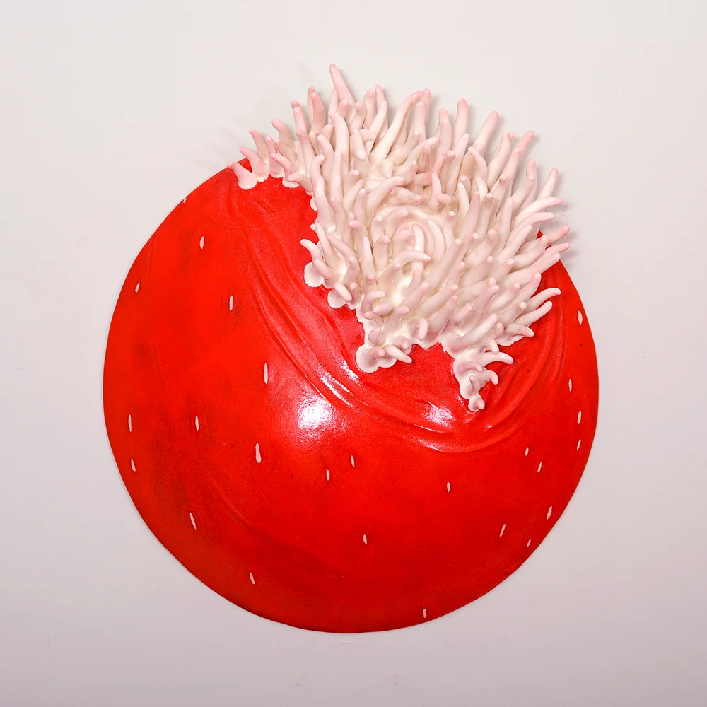 Magnificent Sea Anemone