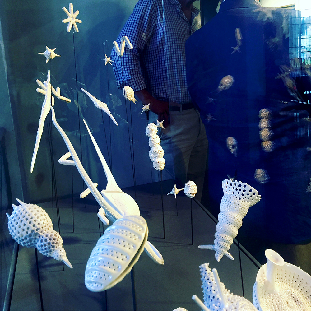 Marine Milky Way , opening reception of La Mer: People Protect What They Love.