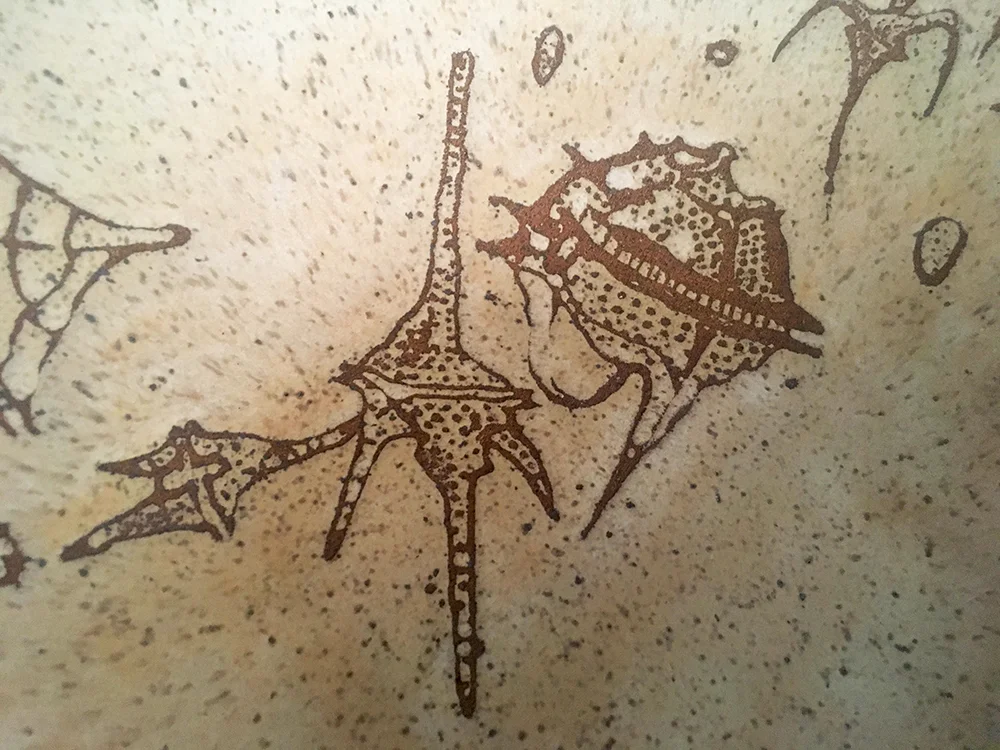 Detail of dinoflagellates on large bowl in créme brûlée on speckled clay