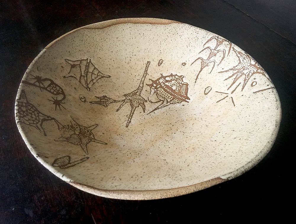 Dinoflagellate large bowl in créme brûlée on speckled clay