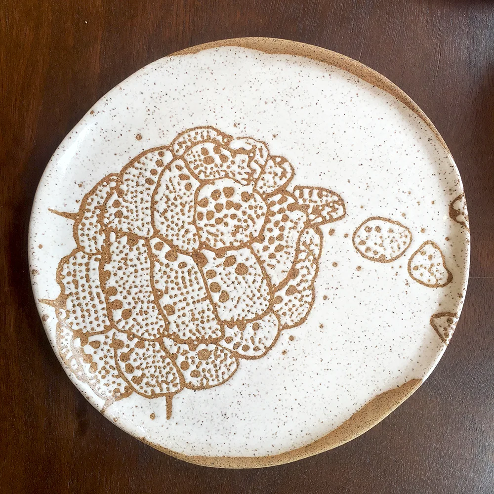 Dinner plate with colony in white on speckle clay