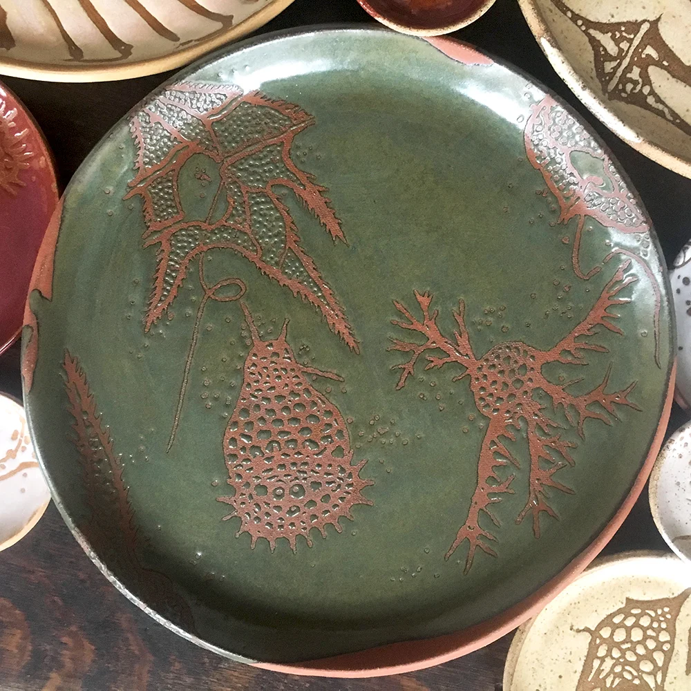 Dinoflagellate and radiolarian charger in moss on red clay