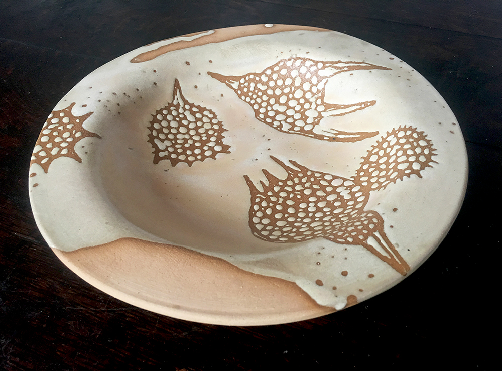  Low bowl with radiolarians in créme brûlée on blush clay 