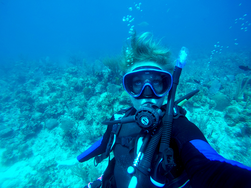 Lookin’ up at 100’, North Wall, Cayman.