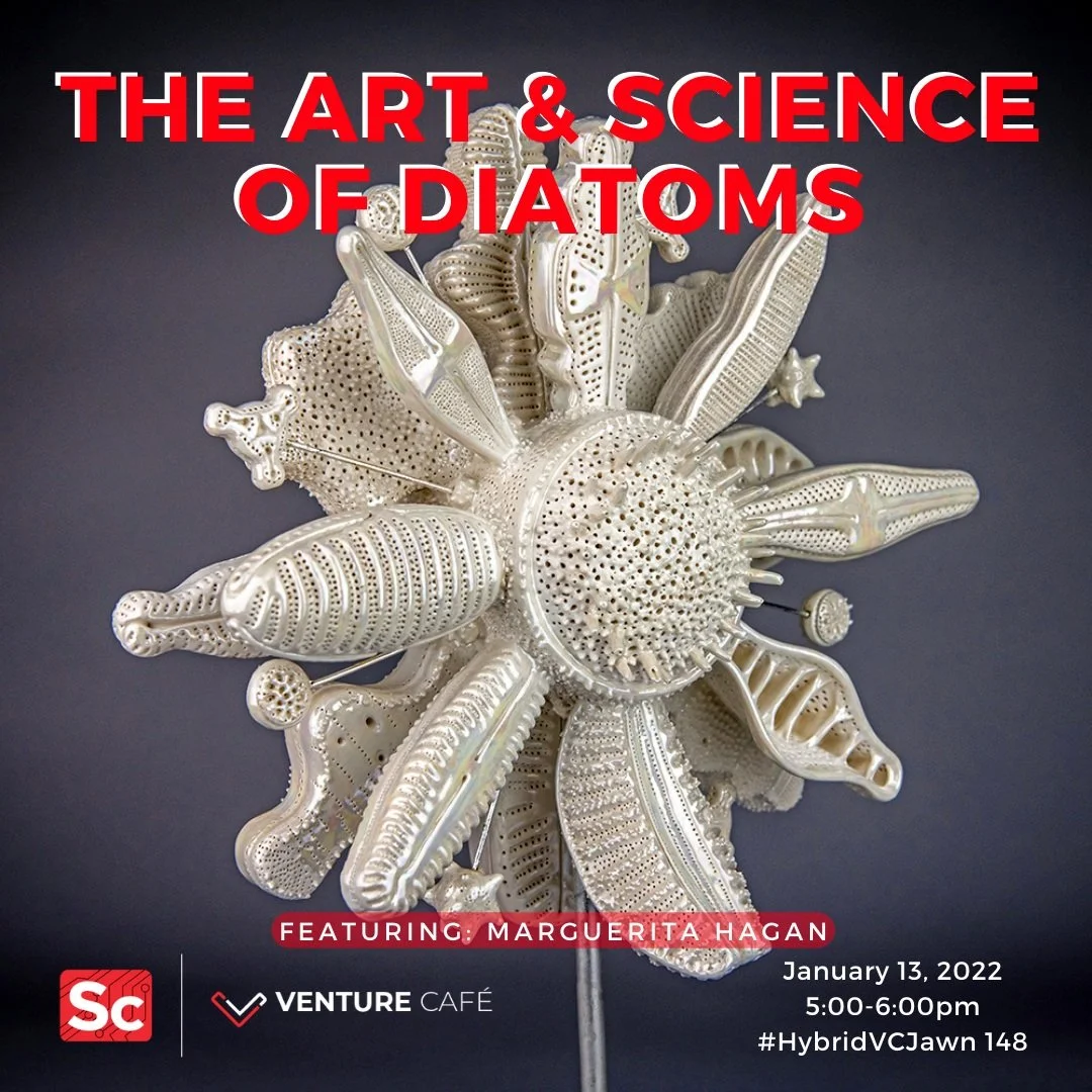 The Art &amp; Science of Diatoms